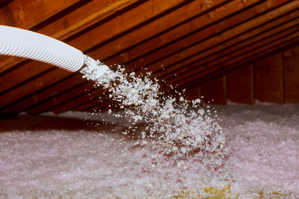 Trusted Hinckley, IL Insulation Contractor Experts