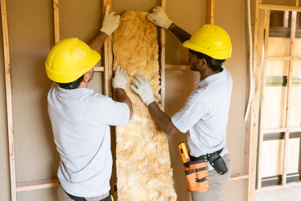 Insulation for New Construction in Hinckley, IL